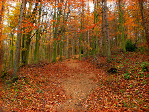 282006 (a): :1600x1200
